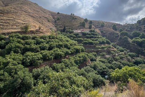 Landejendom i Almunecar, Granada, Almunecar - € 275.000 | Ref: W2999KA - foto 22
